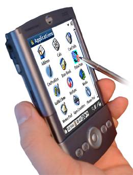 PalmTran